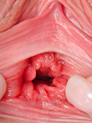 mature pussy redress up naked pics